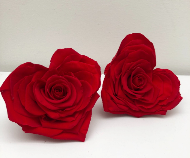 Rosa premium Corazón cabeza