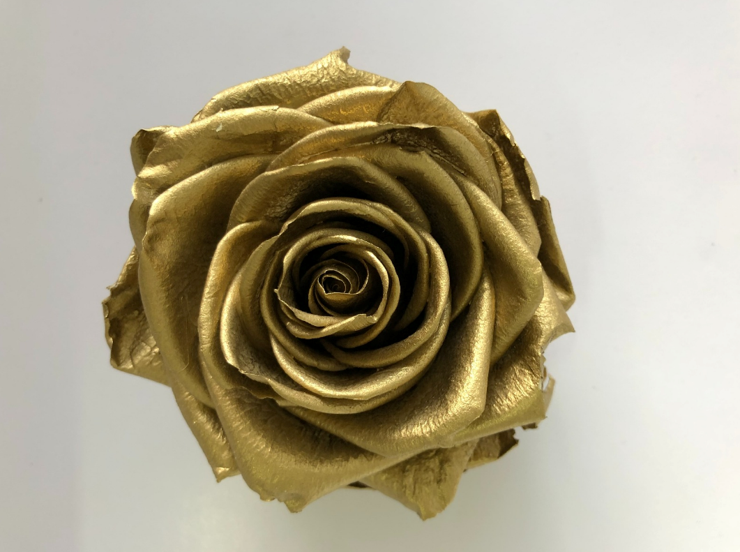 Rosa premium oro tallo