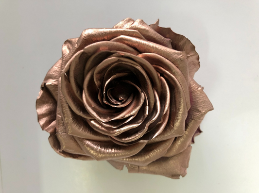 Rosa premium oro rosa cabeza