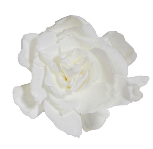 Gardenia
