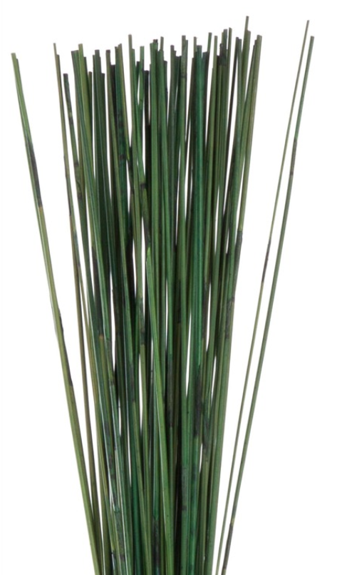 Caña delgada y gruesa