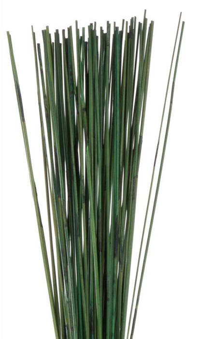 Caña delgada y gruesa