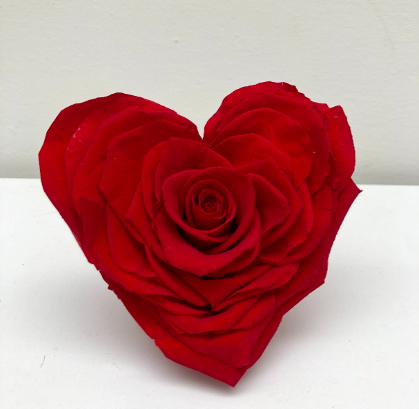 Rosa premium Corazón cabeza