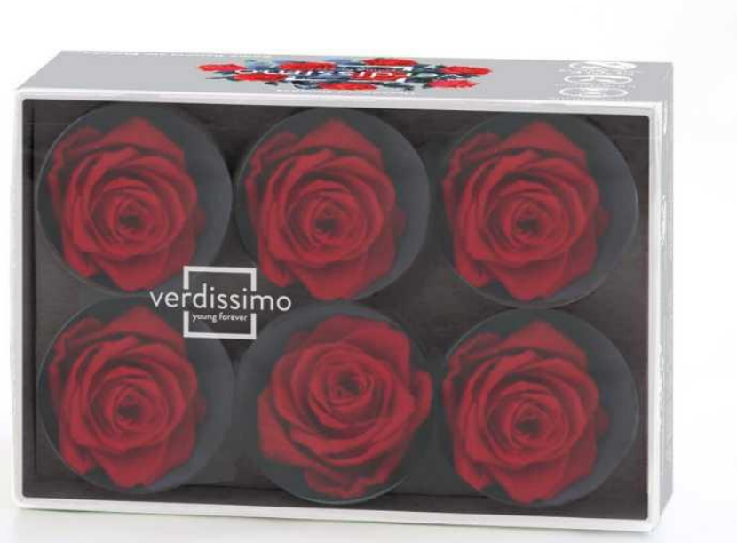 Rosa cabeza estándar