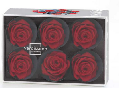 Rosa cabeza estándar