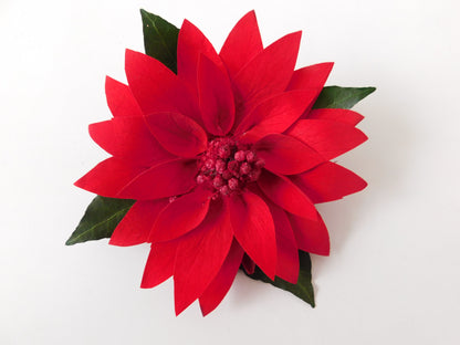 Poinsettia