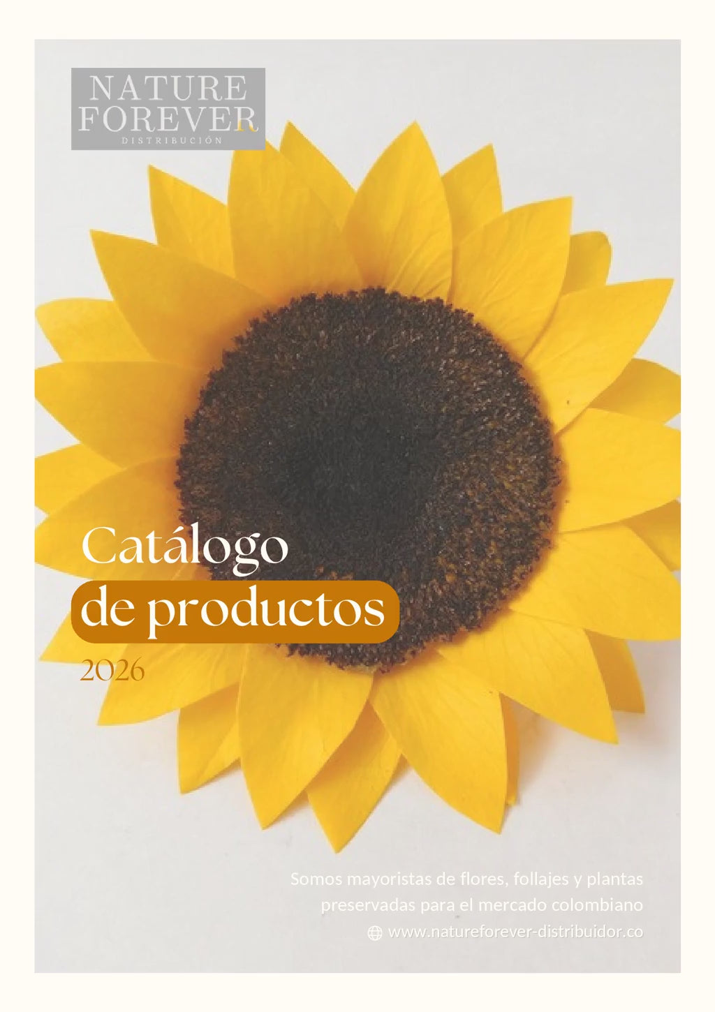 Cargar video: 